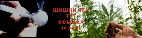 тгк Арсеньев